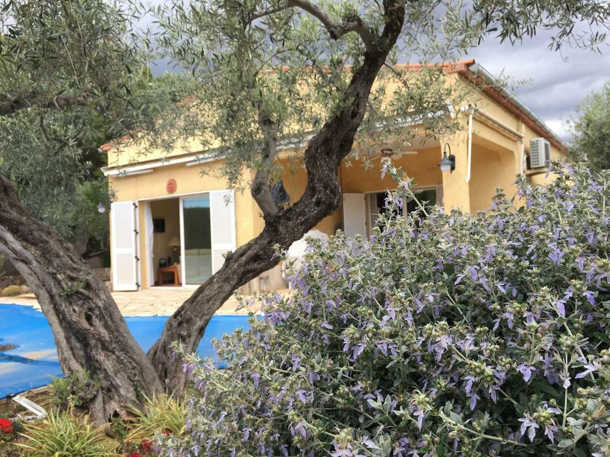 La Inopia Villa L'Ampolla Luaran gambar